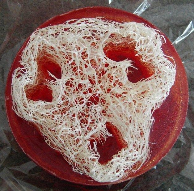 r & s soap.jpg?1380642738346